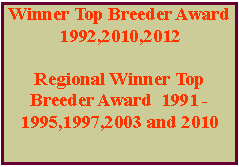 Text Box: Winner Top Breeder Award 1992,2010,2012
Regional Winner Top Breeder Award  1991 - 1995,1997,2003 and 2010