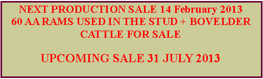 Text Box: NEXT PRODUCTION SALE 14 February 201360 AA RAMS USED IN THE STUD + BOVELDER CATTLE FOR SALEUPCOMING SALE 31 JULY 2013